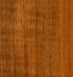 teak
